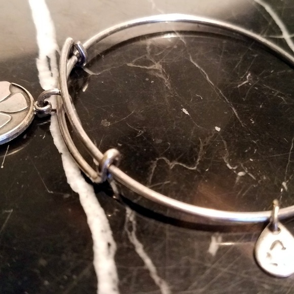 Alex And Ani Friend Charm Bangle Bracelet Russian - Picture 4 of 8